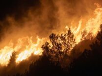 Mengapa Ulama Seolah Absen dari Persoalan Kebakaran Hutan? BNPB: 570 Hektare Lahan Masih Terbakar di 6 Provinsi