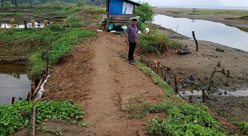 Muara Tak Dikeruk, Petambak Kukue Terus Dibayangi Banjir