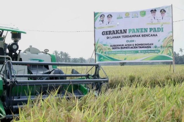 Lahan Pertanian Pulih, Petani Aceh Tamiang Mulai Panen Padi Lagi