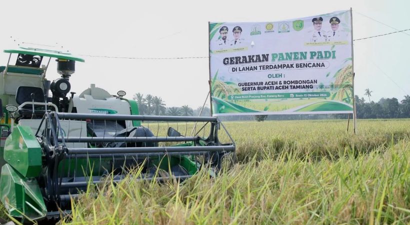 Lahan Pertanian Pulih, Petani Aceh Tamiang Mulai Panen Padi Lagi